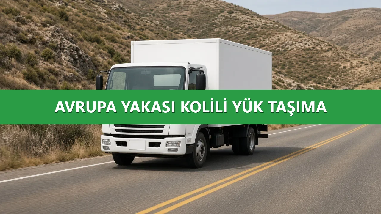 Avrupa Yakası Tekstil Ürün Taşıma Teslim